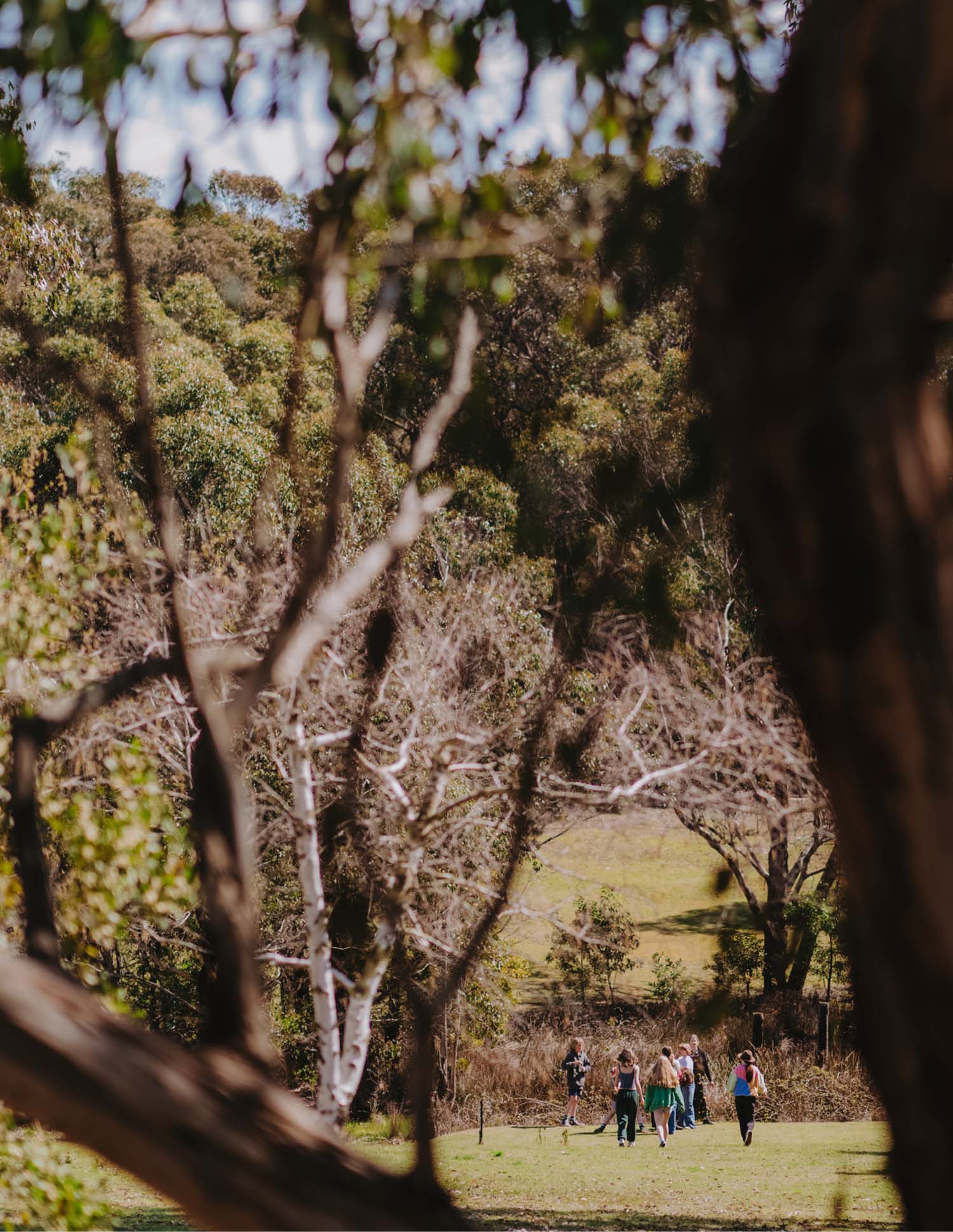 Candlebark and Alice Miller School Tours